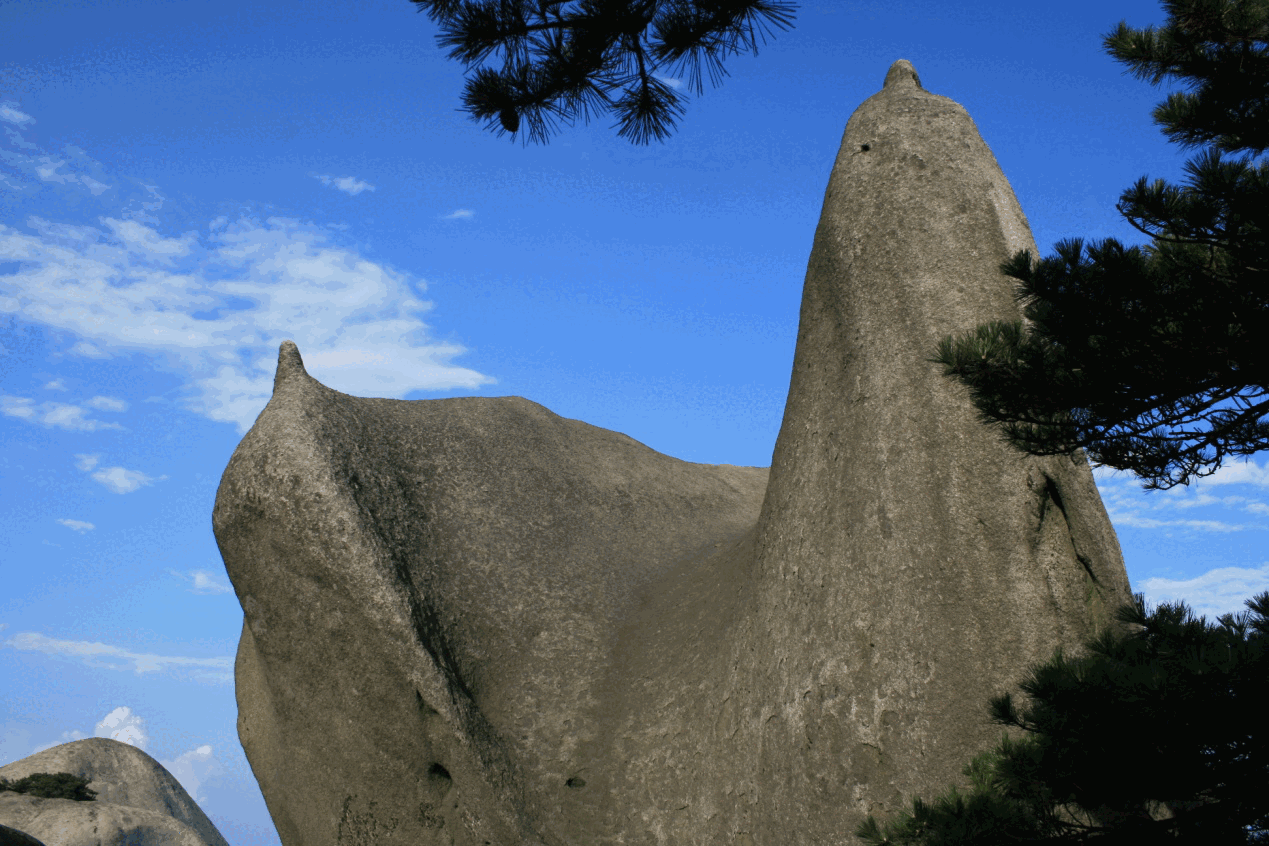 图片3.png 图片3.png